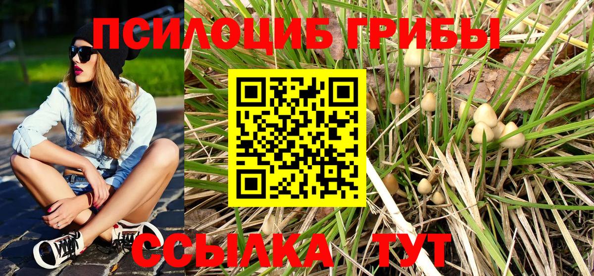 Псилоцибиновые грибы ЛСД Кувандык