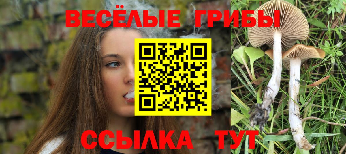 Галлюциногенные грибы MAGIC MUSHROOMS  Вход с VPN  купить наркоту  Кувандык 
